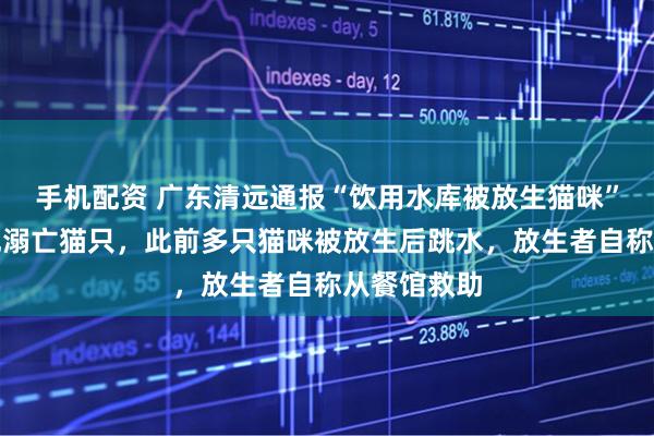 手机配资 广东清远通报“饮用水库被放生猫咪”：暂未发现溺亡猫只，此前多只猫咪被放生后跳水，放生者自称从餐馆救助