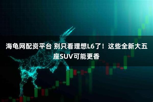 海龟网配资平台 别只看理想L6了！这些全新大五座SUV可能更香