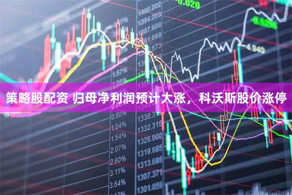 策略股配资 归母净利润预计大涨，科沃斯股价涨停