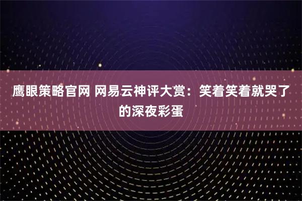 鹰眼策略官网 网易云神评大赏：笑着笑着就哭了的深夜彩蛋